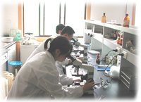 （图）细胞遗传学实验室